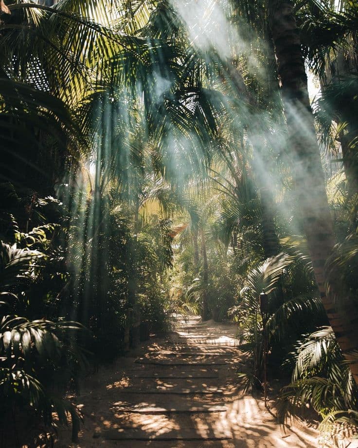 What to pack for a jungle retreat in Mexico