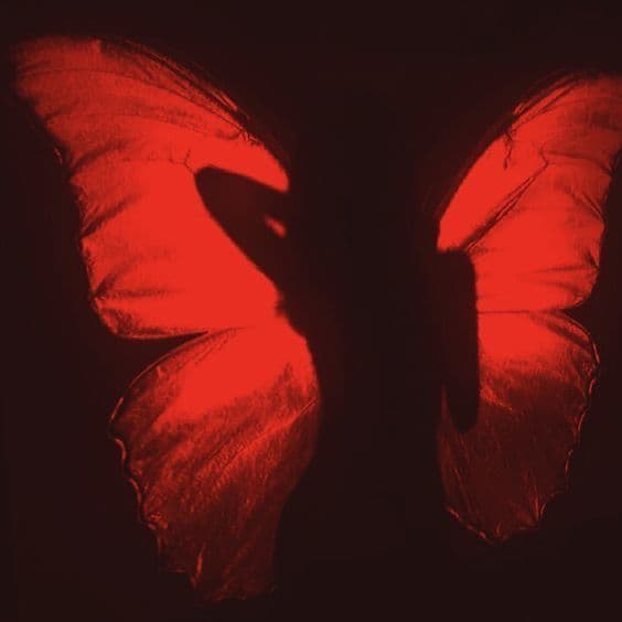 Becoming HER — Lunita Jungle Retreat, Mexico