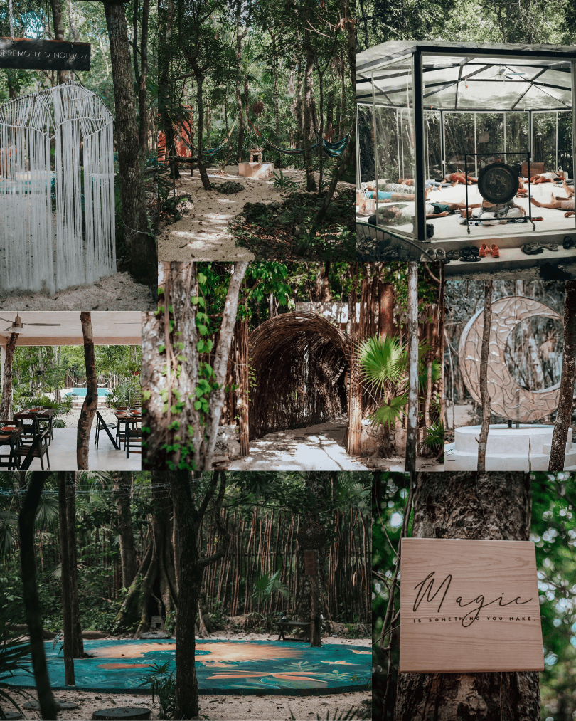 Lunita Jungle Retreat